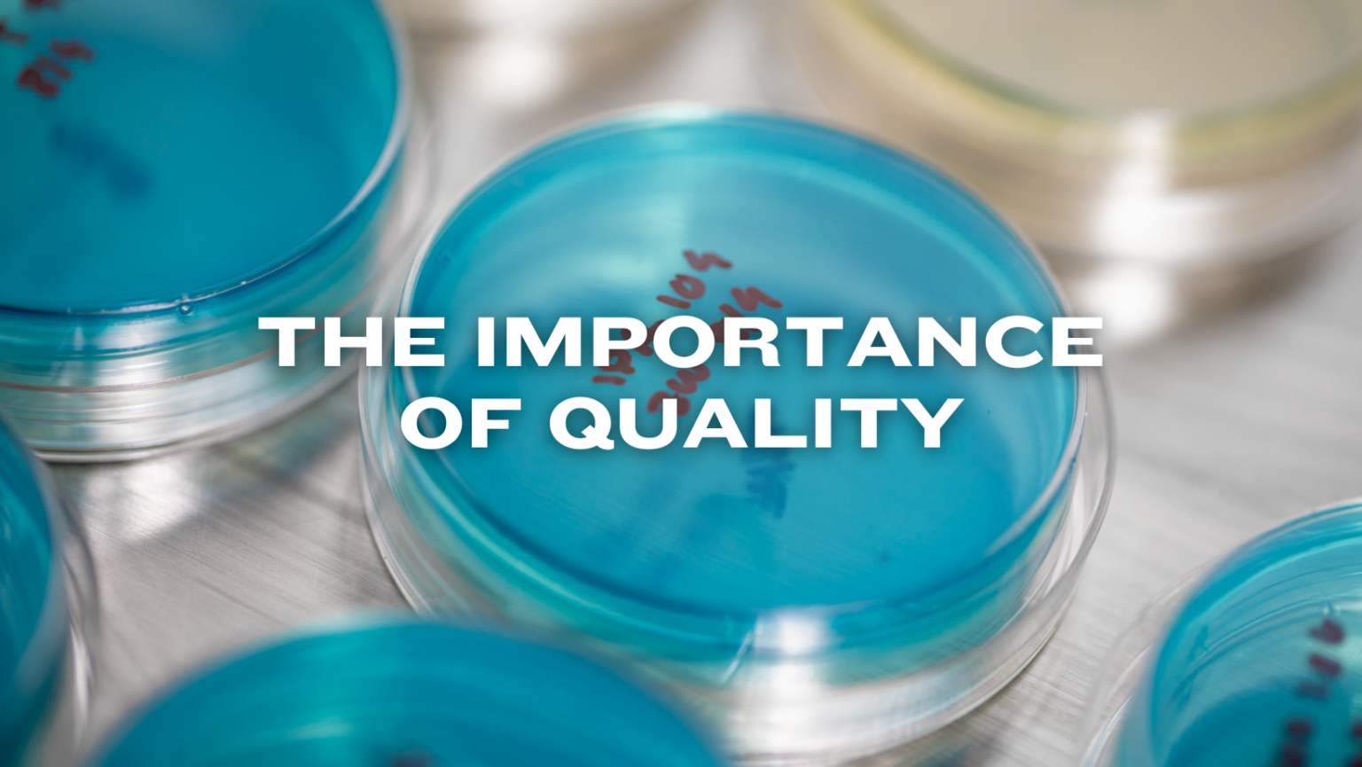 The Importance of Quality